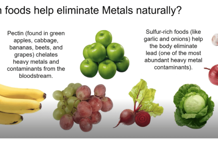 Eliminate Heavy Metals Naturally in Hartford